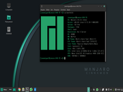 Cinnamon Manjaro Cinnamon